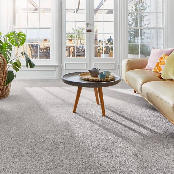 Clean Carpets and maintain a fresh look in your home