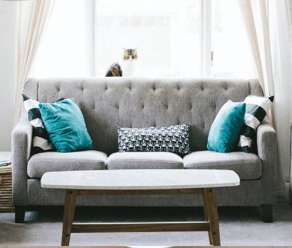 Regular Upholstery Cleaning can help to extend the life of your furniture.