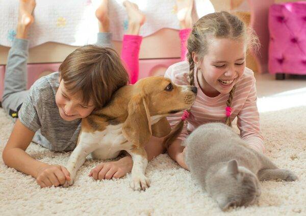 clean carpets for pets and children