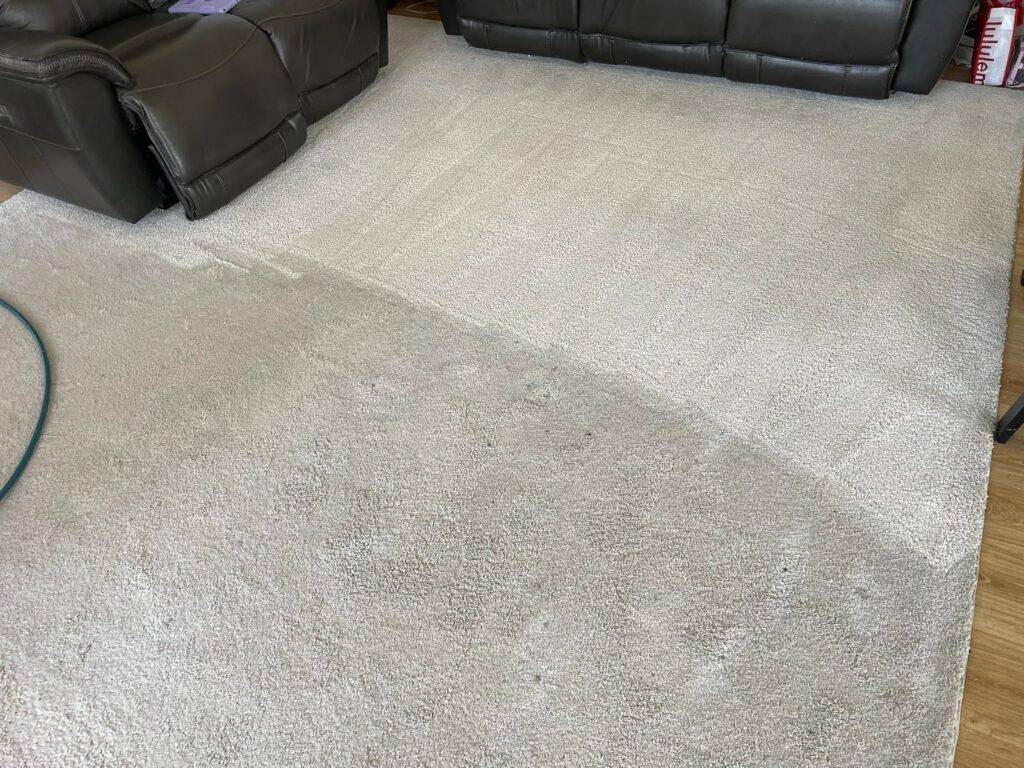 Carpet that is undergoing the steam cleaning process in the Burlington home of an Amazing Results customer.