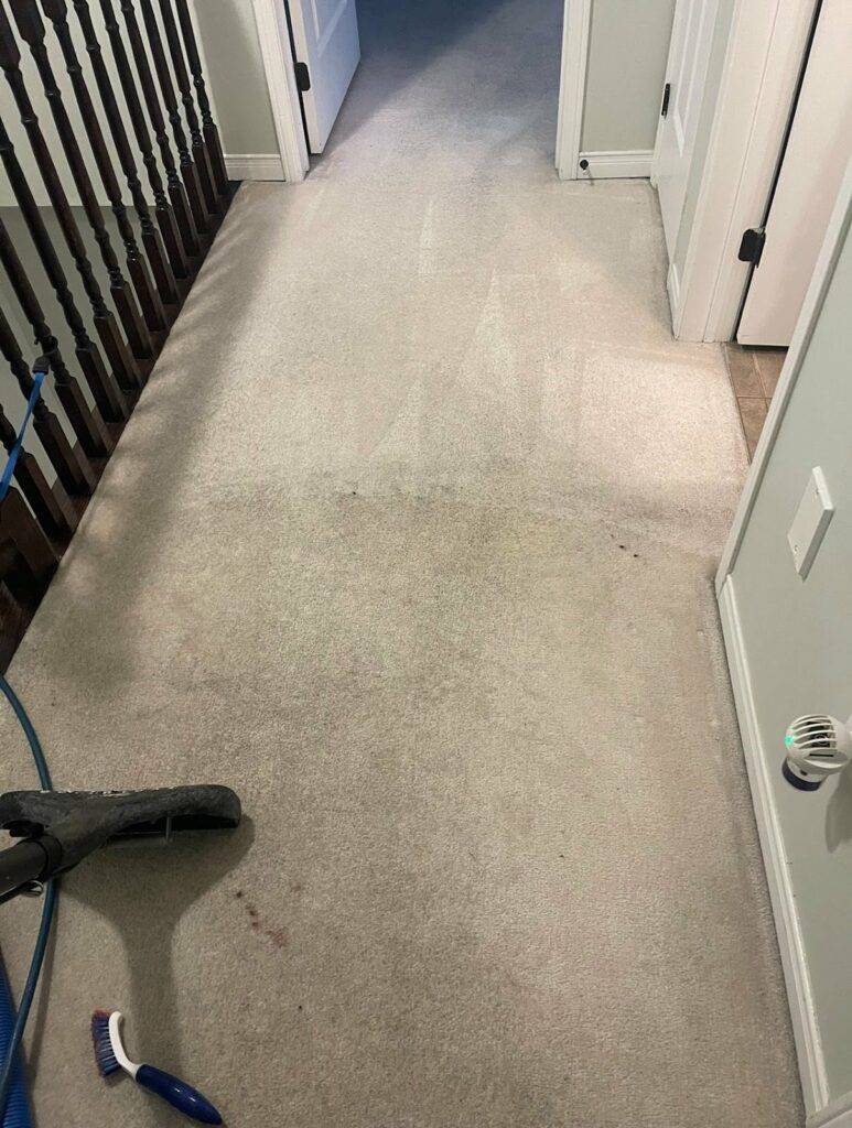 An upstairs hallway carpet of a Burlington home is getting Professional Steam Cleaning by Amazing Results.